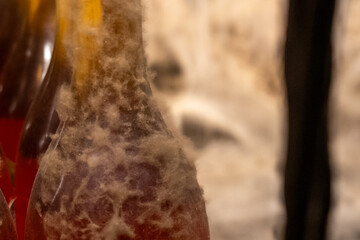 Close-up of an old wine bottle covered with natural mold, stored in a cellar for quality wine aging...