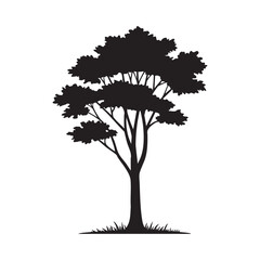Fototapeta premium Solitary Tree Silhouette with Lush Foliage and Grass Details
