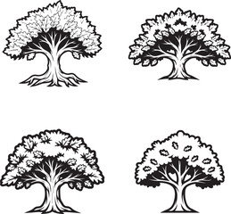 vector illustration of oak tree