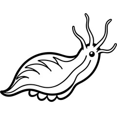 Sea Slug Linear Art