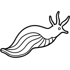 Sea Slug Linear Art