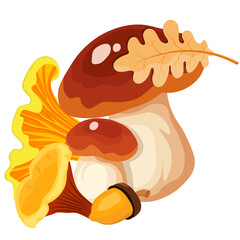 mushrooms and acorn with oak leaves without background