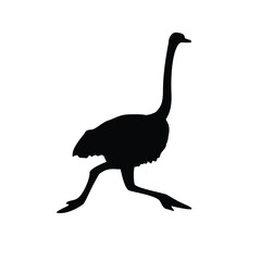 ostrich bird running silhouette design.