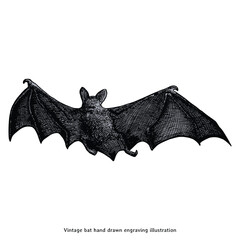Vintage Flying Bat Illustration - Hand Drawn Engraving Style