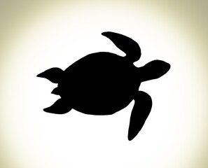 vector illustration of a turtle