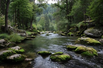 Naklejka premium Mossy rocks in dynamic forest river under natural light 