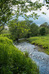 A Serene Riverbank, Gently Flowing and Beautifully Surrounded by Lush Greenery and a Cloudy Sky
