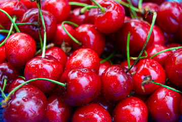Juicy Bing cherries clustered together, showcasing their smooth skin.