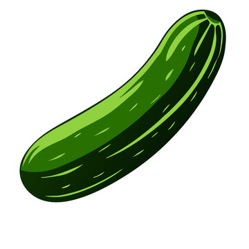 Fresh Green Cucumber, Single Vegetable, Isolated