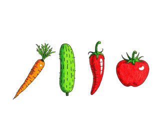 Colorful illustrated vegetables including carrot, cucumber, chili, and tomato  