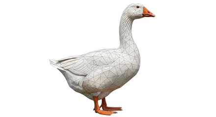 Isolated Goose