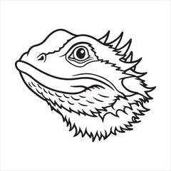 Bearded Dragon – Exotic Desert Lizard with Attitude