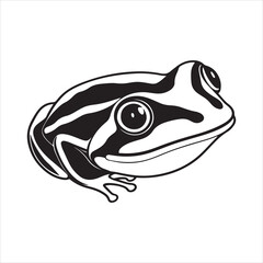 Blue Poison Dart Frog – Toxic Beauty of the Rainforest