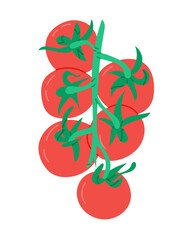 Tomato branch with ripe red tomatoes and green stems in flat style illustration. Represents freshness, organic food, and healthy summer vegetable concept