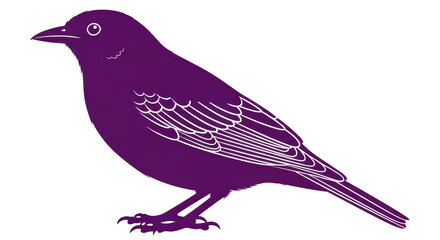 Isolated Silhouette Bird