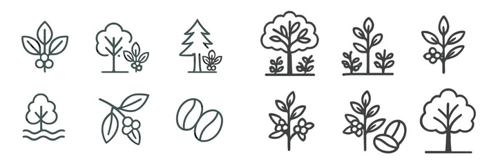Botanical line art collection showcasing trees, leaves, and coffee beans in minimalist design
