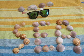 collection of seashelsand sunglasseson on a colored striped beach towel