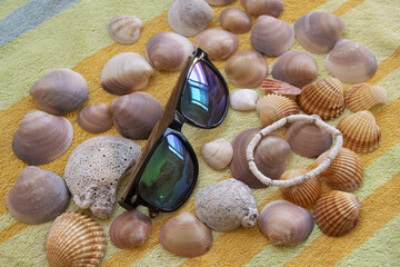 collection of seashelsand sunglasseson on a colored striped beach towel