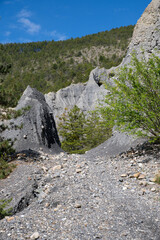 Randonnée et tourisme nature des demoiselles coiffées au lac de serre ponçon