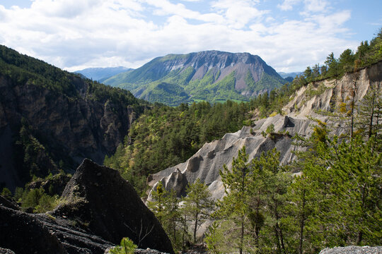balade des demoiselles coiff&eacute;es &agrave; th&eacute;us pr&egrave;s du mont colombis