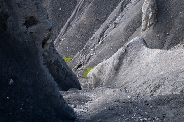 gros plan sur les demoiselles coiffées