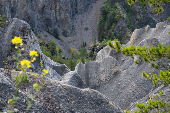 demoiselles coiff&eacute;es espinasses