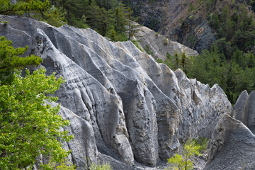 Les demoiselles coiffées près de Gap