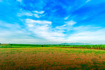 green field and blue sky