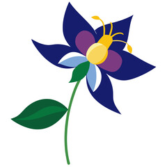 columbine on white background