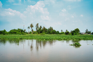 Serene water canal with lush green plant reflection on daylight