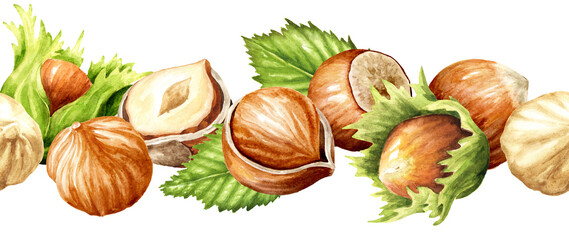 Hazelnut  kernels. Hand drawn watercolor illustration isolated on white background