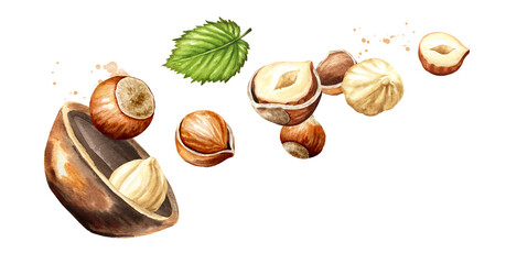 Bowl and falling hazelnut kernels. Hand drawn watercolor illustration, isolated on white background