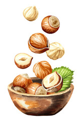 Bowl and falling hazelnut kernels. Hand drawn watercolor illustration, isolated on white background