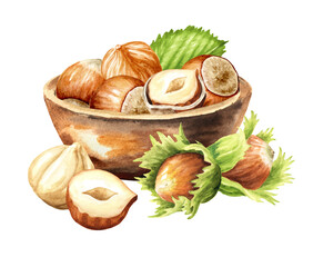 Bowl with hazelnut kernels. Hand drawn watercolor illustration isolated on white background