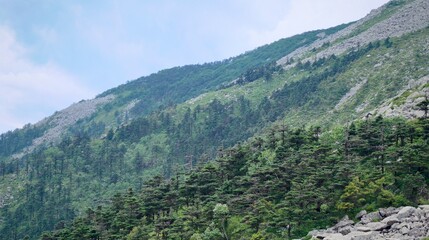 Fototapeta premium Natural Light and Scenery of the Qinling Mountains, China