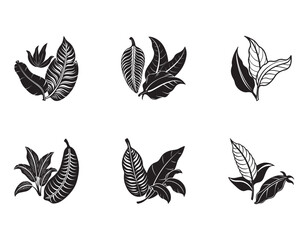 Elegant Black and White Leaf Illustrations Botanical Design Elements	
