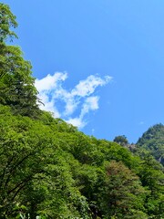 Natural Light and Scenery of the Qinling Mountains, China