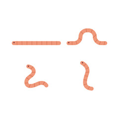 Worm Icon Set Vector Design.