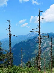 Obraz premium Natural Light and Scenery of the Qinling Mountains, China