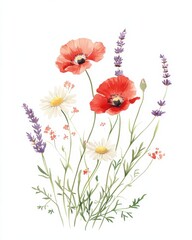 Fototapeta premium Delicate Watercolor Bouquet of Poppies and Lavender Flowers