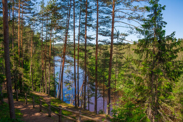 Landscape in Gauja national park, Latvia