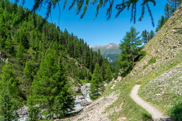 Summer Hike through Val Trupchun