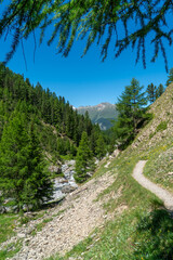 Summer Hike through Val Trupchun