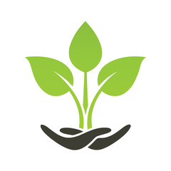 Green sprout growing from cupped hands plant leaf