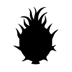 Minimalist black silhouette of dragon fruit with spiky protrusions on white background