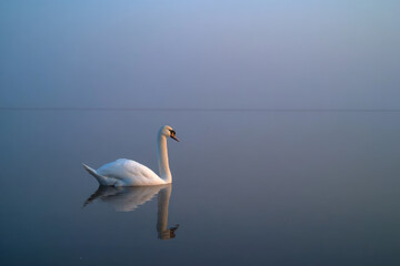 delta estuary in russia at sunrise highlighting climate extremes