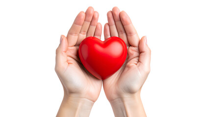 Fototapeta premium Red Heart Held in Adult Hands, Isolated on Transparent Background PNG