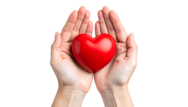Red Heart Held in Adult Hands, Isolated on Transparent Background PNG