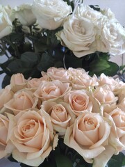 bouquet of roses
