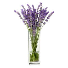 Naklejka premium Fresh Lavender Bouquet in Glass Vase, Cut Out